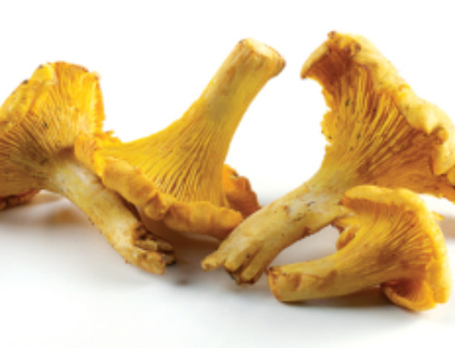 Chanterelles