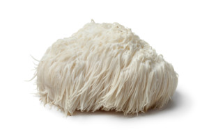 Lions Mane Mushroom